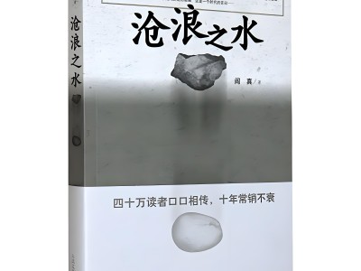 《沧浪之水》小说下载 作者阎真 