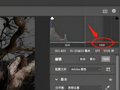Mac版PS里面没有Camera Raw滤镜?下载安装